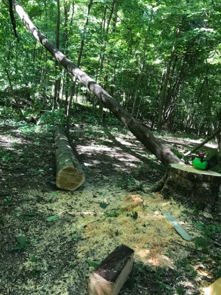 Locust for porches.jpg