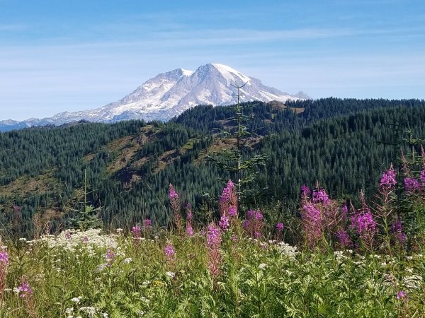 mountains20201.jpg