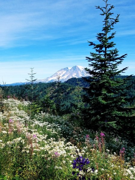 mountains20205.jpg