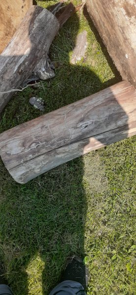 20200908_135659.jpg