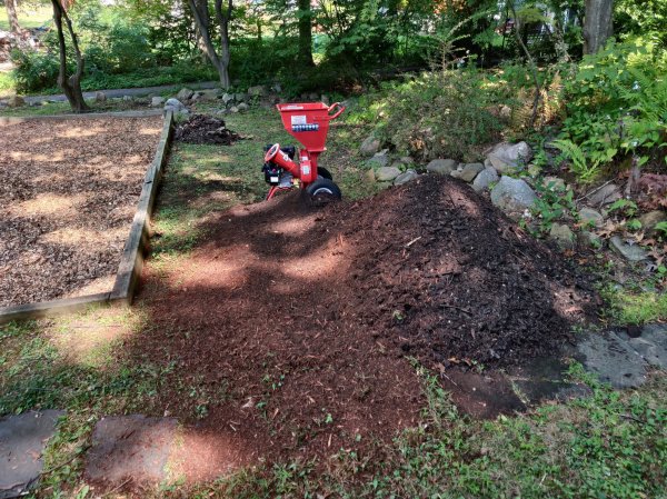 2020-09-08 12.46.30.jpg