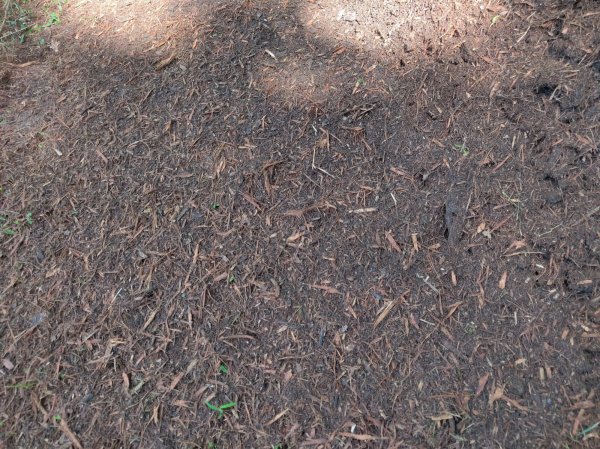 2020-09-08 12.46.34.jpg