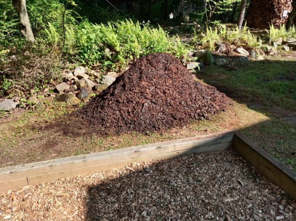 2020-09-08 15.22.26.jpg