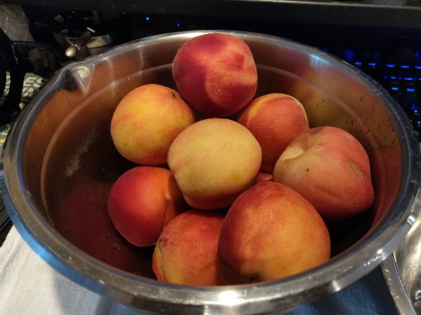 2020-09-09 15.37.18.jpg