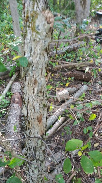 20200910_143815.jpg