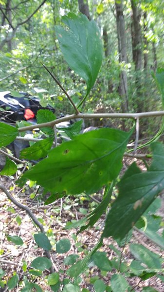 20200910_143830.jpg