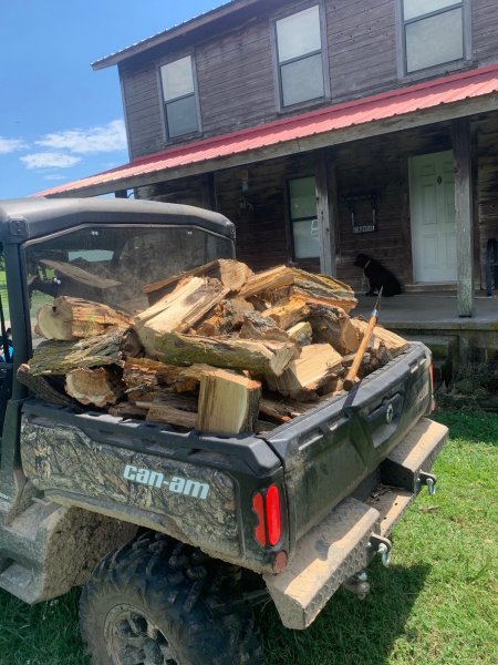 Fire Wood Load on Can Am.jpg