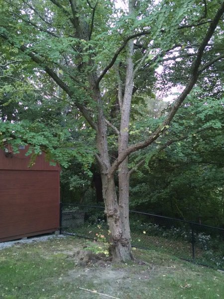 IMG_20200916_071620821.jpg