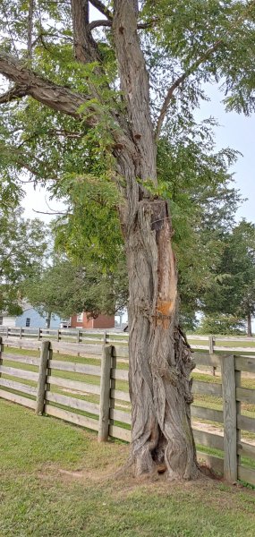 0916201603_HDR.jpg