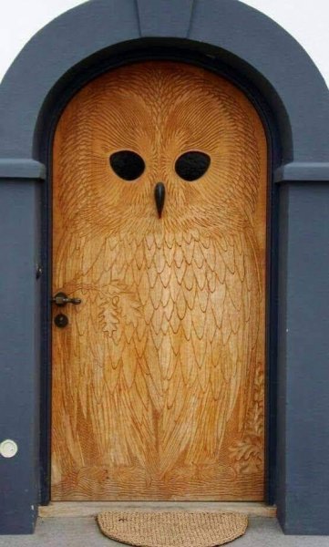 OwlDoor.jpg