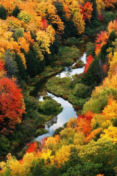 Big Carp River-Lake of the Clouds.jpg