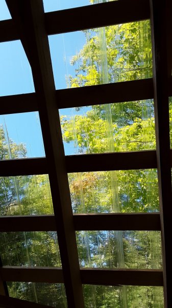 20200919_125624.jpg