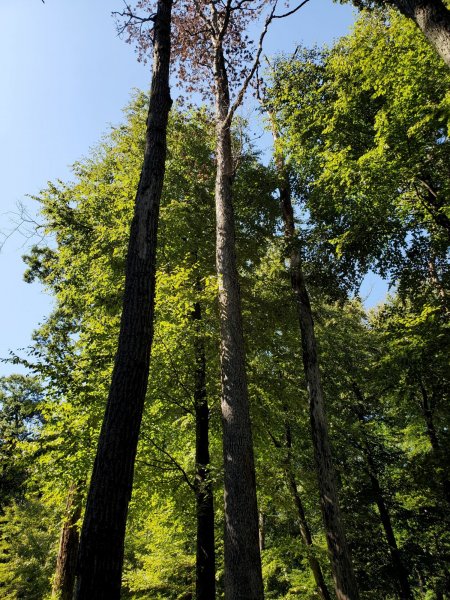 20200920_132625.jpg