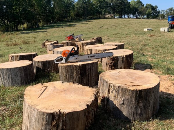 BIG PIN OAK LOG ROUNDS.jpg