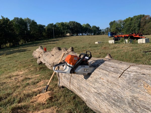 BIG PIN OAK, AND STIHL 362.jpg