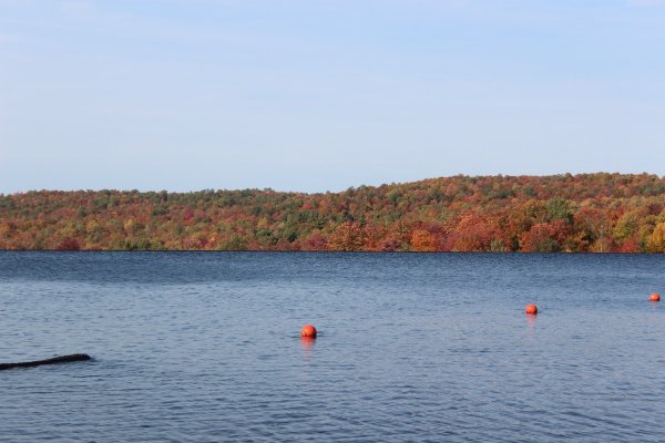 IMG_0914.JPG