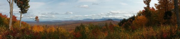 20200927_115928.jpg