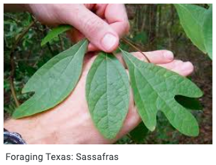 Screen Shot 2020-09-29 at 5.50.02 PM.png