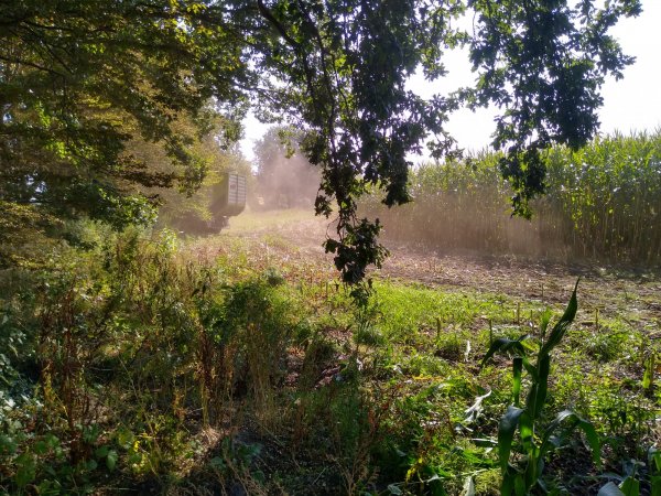IMG_20200922_135522946_HDR.jpg