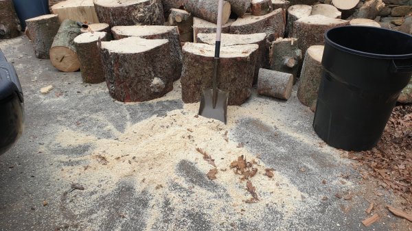 2020-03-12 13.10.32.jpg