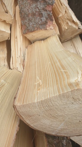 2020-03-12 14.29.23.jpg