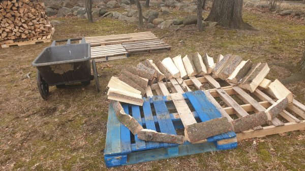 2020-03-12 14.44.13.jpg