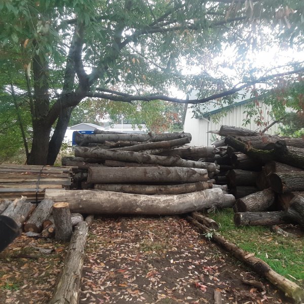 20201003_125737.jpg