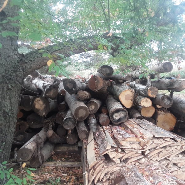20201003_142845.jpg
