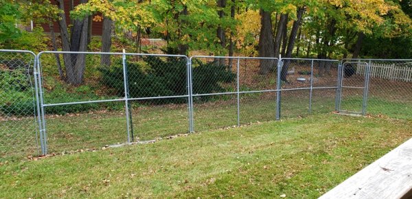 leaves in back yard 1-mowed.jpg