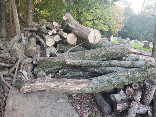 20201006_162435.jpg