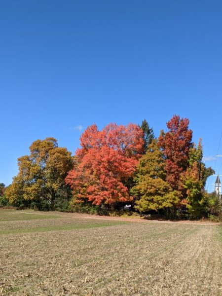IMG_20201008_2473.jpg