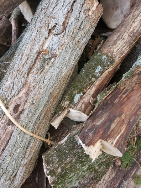 20201008_164814.jpg