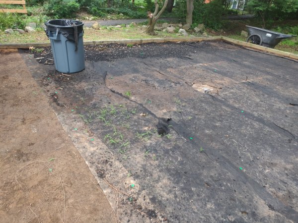 2020-08-14 14.48.38.jpg