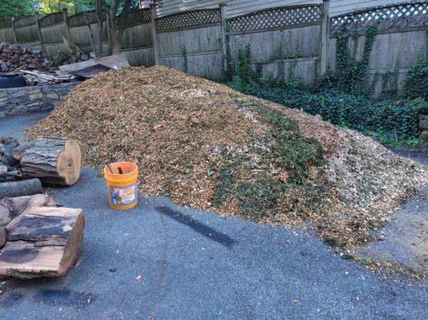 2020-09-05 08.18.27.jpg