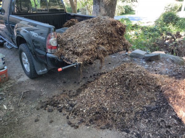 2020-09-05 10.40.25.jpg