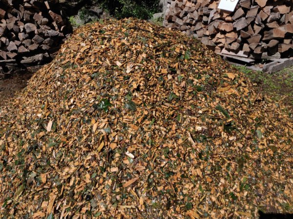 2020-09-05 12.53.53.jpg