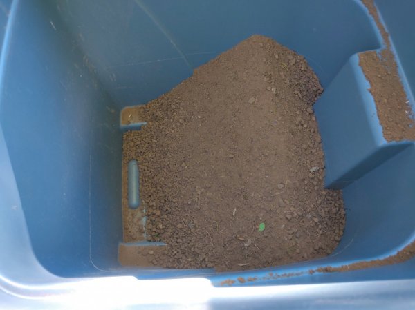 2020-10-08 15.57.07.jpg