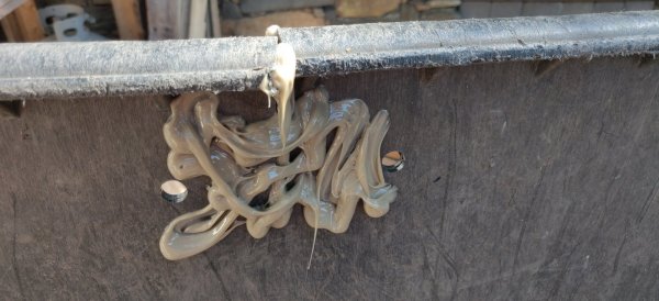 2020-10-09 12.28.00.jpg