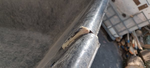 2020-10-09 12.28.03.jpg