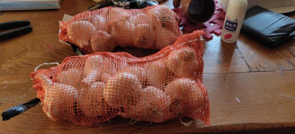 2020-10-09 17.33.03.jpg