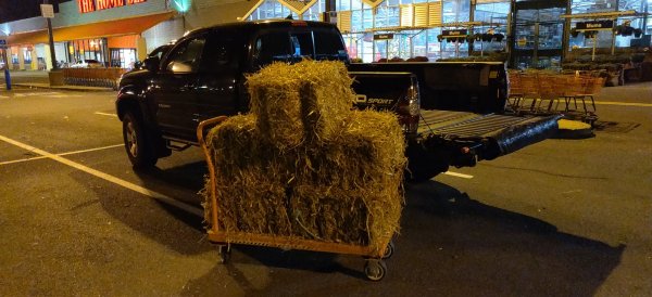 2020-10-09 20.22.11.jpg