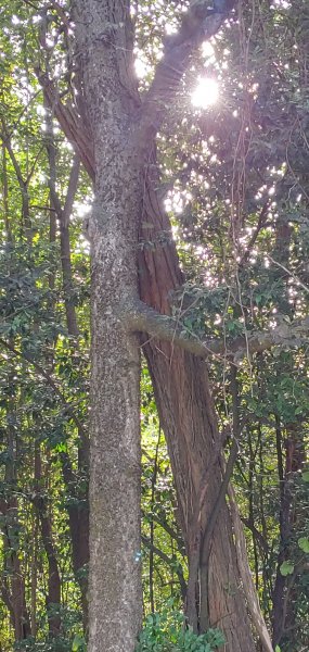 1009200949_HDR.jpg