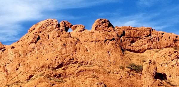 20201010_070210.jpg