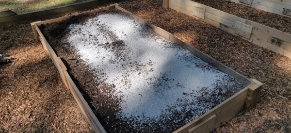 2020-10-10 12.40.31.jpg