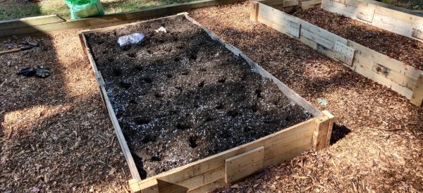 2020-10-10 12.55.09.jpg