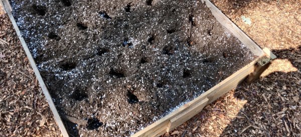 2020-10-10 12.55.13.jpg