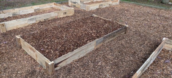 2020-10-10 16.31.46.jpg