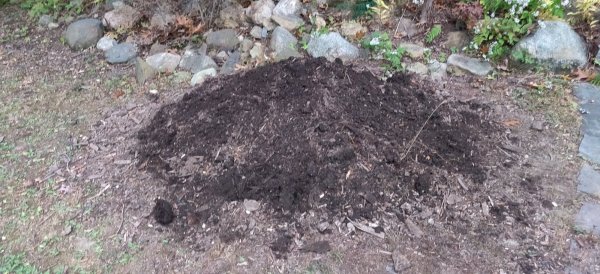 2020-10-11 17.37.50.jpg