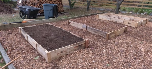 2020-10-11 17.37.53.jpg