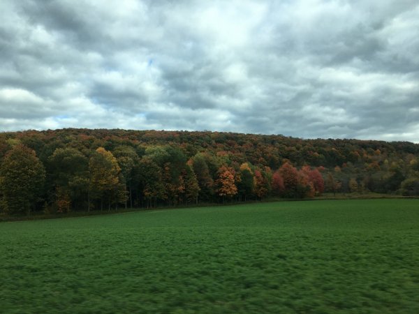 010800CB-96F4-4A0B-AA9A-B7AB1A570F9E.jpeg